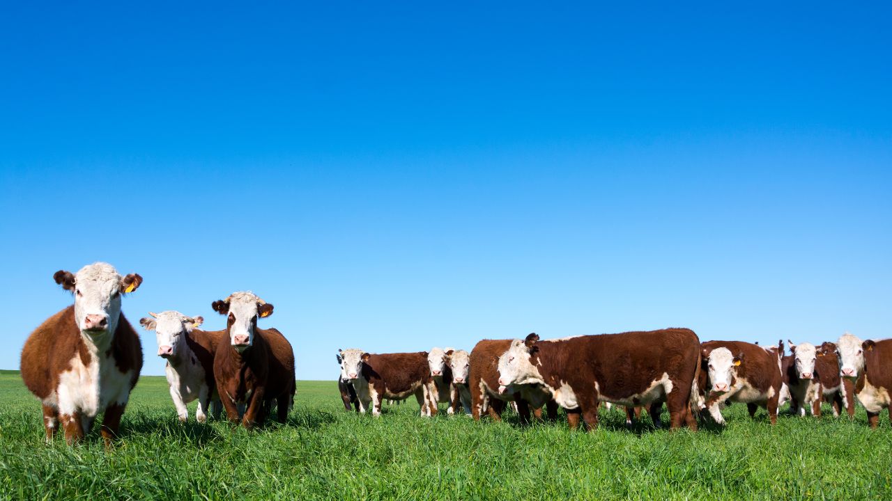 Que tus ventas no se queden offline